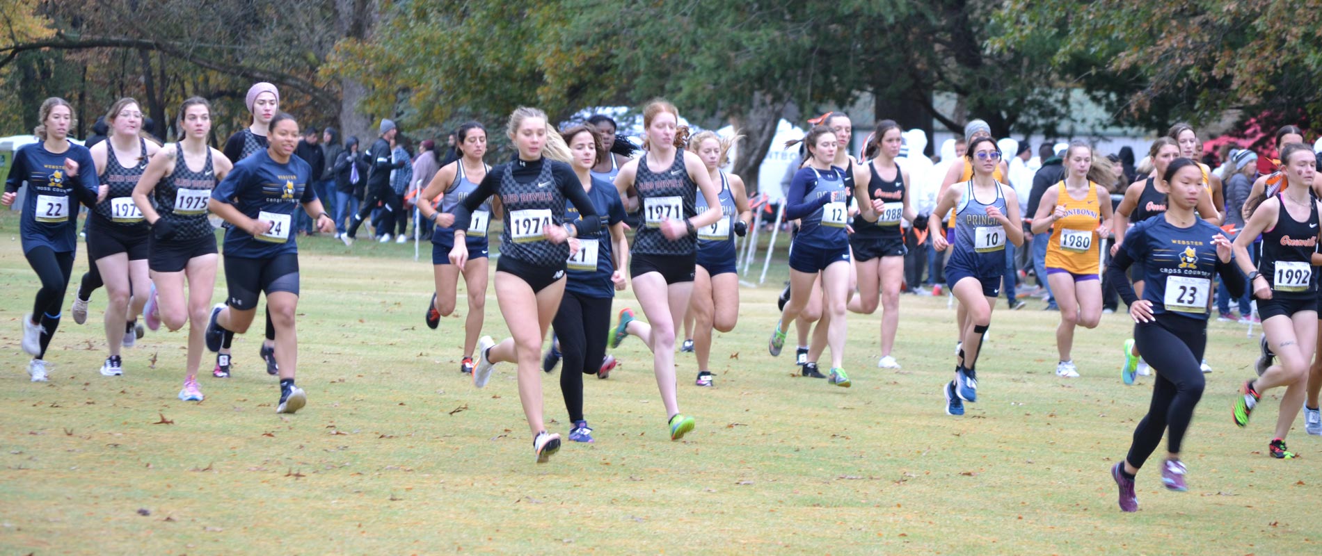 Eureka Cross Country